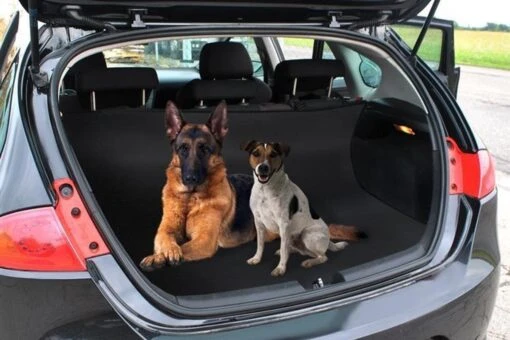 Autostoelbeschermer – Beschermhoes Autostoel Hond- Zwart 144 X 144 Cm